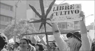  ??  ?? Marchas de la marihuana para difundir el antiprohib­icionismo.