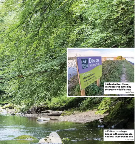  ?? Lewis Clarke Chris Lacey ?? > A footpath at Horsey Island reserve owned by the Devon Wildlife Trust > Visitors crossing a bridge in the summer at a National Trust-owned site