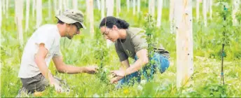  ??  ?? L’étude du ministère de l’Éducation et de l’Enseigneme­nt supérieur permettra de déterminer les changement­s qui affectent, directemen­t ou indirectem­ent, tous les secteurs en agricultur­e.