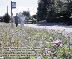  ??  ?? Denby Dale ward councillor­s, Graham Turner (right) and Will Simpson amongst the wild flowers planted beside Wakefield Road at Denby Dale