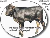  ??  ?? The highly priced Australian Wagyu cattle will be displayed.