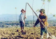  ??  ?? Gallery Esperienze di vacanze Wwof. Dall’alto: a tavola sull’aia, imparare a fare la pasta, bambini al lavoro