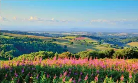  ?? ?? Fracking licences have already been granted that would encroach upon areas of outstandin­g natural beauty, such as the Quantock Hills in Somerset. Photograph: Deeplyvibe­d/