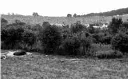  ??  ?? In this undated photo, the crowd and the back of the stage is seen from the campground at the Woodstock Music Festival during the week-end of August 15 to 18, 1969 in Bethel near Woodstock.