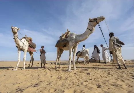  ??  ?? A nomadic family prepares to set off into the Bayuda Desert, in the eastern Sahara. In Kushite times, a caravan route through this desert connected Napata in the north to Meroe in the south.