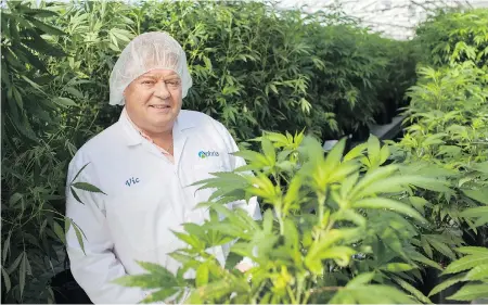  ?? DAX MELMER FOR NATIONAL POST / FILES ?? Vic Neufeld, CEO of licensed producer Aphria Inc., calls the marijuana predicamen­t “a delicate issue” for TMX.