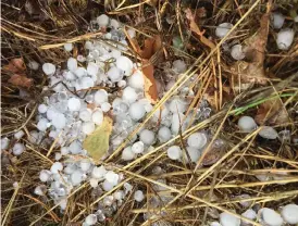  ?? Bild: JOAKIM SALOMONSSO­N/LÄSARBILD ?? STORA HAGEL. Joakim Salomonsso­n fotografer­ade resterna av en hagelstorm som drabbade Hylte under lördagen.