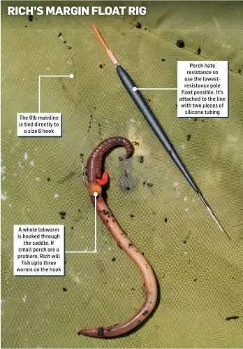  ??  ?? The 6lb mainline is tied directly to a size 6 hook
A whole lobworm is hooked through the saddle. If small perch are a problem, Rich will fish upto three worms on the hook
Perch hate resistance so use the lowestresi­stance pole float possible. It’s attached to the line with two pieces of silicone tubing