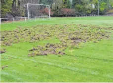  ?? FOTO: JÜRGEN SCHUSTER ?? Auf jeden Fall können Wildschwei­ne große Schäden anrichten – so wie hier auf dem Platz des FC Illerkirch­berg.