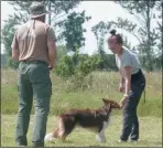  ??  ?? Najlepszą nagrodą za dobrze wykonane zadanie jest kilka granulek karmy serwowanej wprost z ręki przewodnik­a