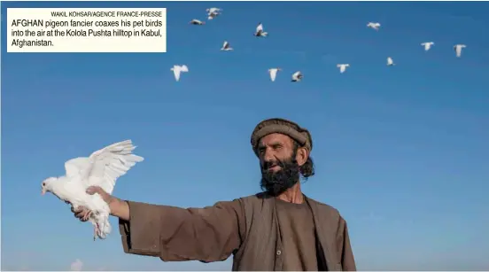  ?? WAKIL KOHSAR/AGENCE FRANCE-PRESSE ?? AFGHAN pigeon fancier coaxes his pet birds into the air at the Kolola Pushta hilltop in Kabul, Afghanista­n.