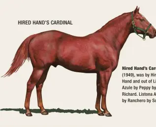  ??  ?? HIRED HAND’S CARDINAL