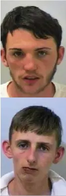  ??  ?? From top left, clockwise, Tony Curtis, Jordan Russell, Liam Williams and David Carter have all been jailed for the theft of 18 vehicles