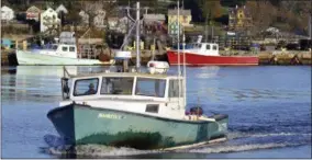  ?? PHOTOS BY JESSICA HILL — THE ASSOCIATED PRESS ?? In this file photo, lobsterman Mike Theiler brings his boat to dock in New London, Conn. A study released in April 2016says no traces of pesticides were found in lobsters collected in Long Island Sound in late 2014, boosting the theory that elevated...