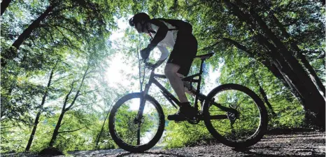  ?? ARCHIVFOTO: TOBIAS HASE ?? Welche Wege für Radfahrer geeignet sind, ist Interpreta­tionssache. Wenn einzelne Freizeitsp­ortler querfeldei­n fahren, nehmen Flora und Fauna Schaden.