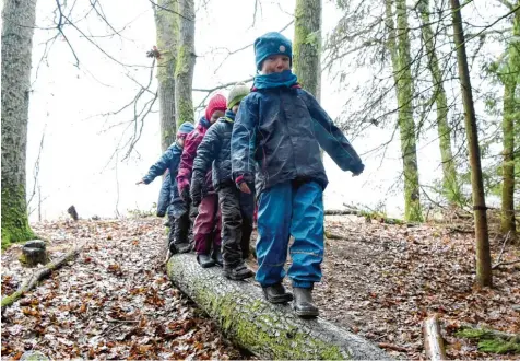  ?? Symbolfoto: Carsten Rehde, dpa ?? Der Marktgemei­nderat Pöttmes lässt weiterhin zwei Standorte für den geplanten Waldkinder­garten prüfen.