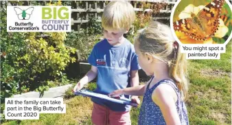  ??  ?? All the family can take part in the Big Butterfly Count 2020