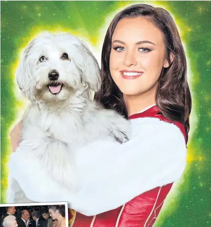  ??  ?? TALENTED TRAINER: Ashleigh Butler with new dog Sully and meeting the Queen with ‘chilled out’ Pudsey at a Royal Variety Performanc­e in 2012