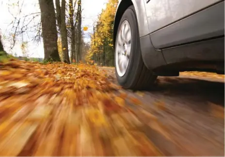  ?? DREAMSTIME ?? Enjoy a Sunday drive to check out the fall colours. It’s a great time to take a leisurely ride, and it’s great for the mind, body and soul, Bob Redinger writes.