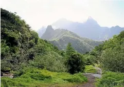  ?? PHOTOS: PAMELA WADE ?? No trip to Tahiti is complete without a journey into its green and dramatic heart.