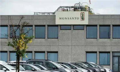  ?? Photograph: John Thys/ AFP/Getty Images ?? ‘This is a big step in holding Monsanto accountabl­e,’ the teachers’ attorney, Rick Friedman, said in a statement.