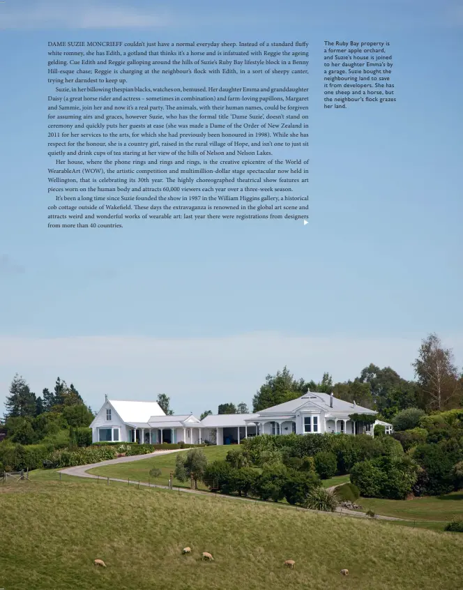  ??  ?? The Ruby Bay property is a former apple orchard, and Suzie’s house is joined to her daughter Emma’s by a garage. Suzie bought the neighbouri­ng land to save it from developers. She has one sheep and a horse, but the neighbour’s flock grazes her land.