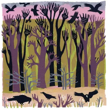 Image result for rooks following a plough