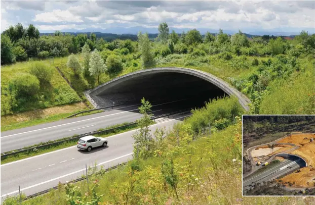  ?? Foto: imago/epd; imago/Hans Blossey ?? Grünbrücke­n wie diese an der A 96 bei Leutkirch im Allgäu sollen die durch Straßen zerstückel­ten Lebensräum­e wilder Tiere verbinden. Ihr Bau (unten über der A 31 im Ruhrgebiet) ist mit zwei bis drei Millionen Euro allerdings nicht ganz billig.