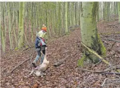  ?? ?? Marlene Hertzsch bringt ihr erlegtes Reh zum Streckenpl­atz.