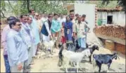  ?? HT PHOTO ?? ▪ Jabbar (in blue lungi) with the new goats that the SP MLC handed over to him.