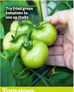  ??  ?? Try fried green tomatoes to use up fruits