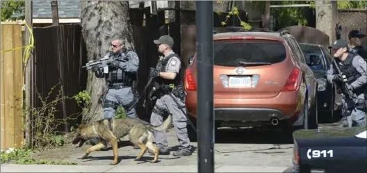  ??  ?? Hamilton tactical officers emerge from the yard next door to 21 Holly Ave. in northeast Hamilton, where a man was shot Tuesday morning. Three other people in the home were hurt.