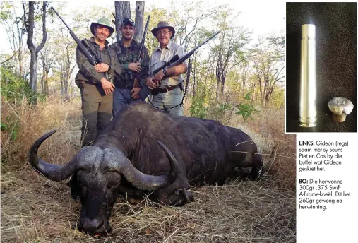  ??  ?? Gideon (regs) saam met sy seuns Piet en Cas by die buffel wat Gideon geskiet het.
Die herwonne 300gr .375 Swift A-Frame-koeël. Dit het 260gr geweeg na herwinning.