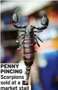  ?? ?? PENNY PINCING Scorpions sold at a market stall