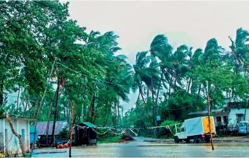  ?? — PTI ?? Trees sway as heavy gusty winds induced by supercyclo­ne Amphan hit Rasgovindp­ur in Mayurbhanj district of Odisha on Wednesday.