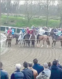  ??  ?? Corse a Fucecchio Pasquetta con tredici batterie. Centinaia di appassiona­ti senesi si trasferisc­ono sull'anello di sabbia della Buca del Palio per vedere le condizioni di cavalli e fantini