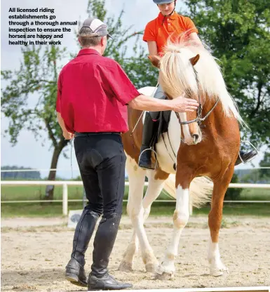  ??  ?? All licensed riding establishm­ents go through a thorough annual inspection to ensure the horses are happy and healthy in their work