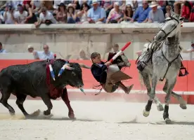  ?? — AFP ?? A matador is tossed by a fighting bull during the Pentecost feria bullfight in Nimes, southern France, on Monday.