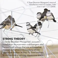  ?? Here to ear (v.13) ?? Céleste Boursier-Mougenot’s musical installati­on with live finches, from (2010).