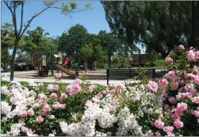  ??  ?? A lovely greenbelt oasis is in the heart of the Almaden Winery neighborho­od.