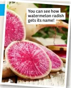  ?? ?? You can see how watermelon radish gets its name!