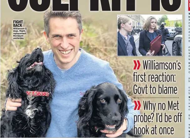  ??  ?? FIGHT BACK Williamson & dogs. Right, replacemen­t Mordaunt yesterday