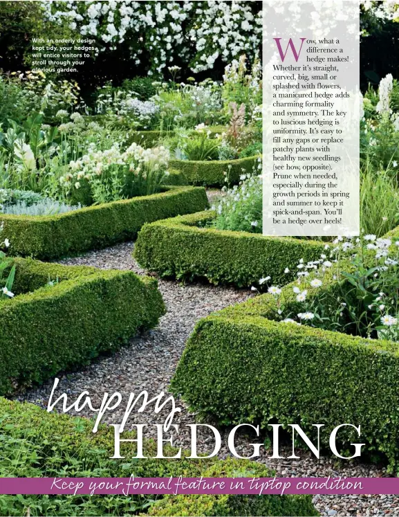  ??  ?? With an orderly design kept tidy, your hedges will entice visitors to stroll through your glorious garden.