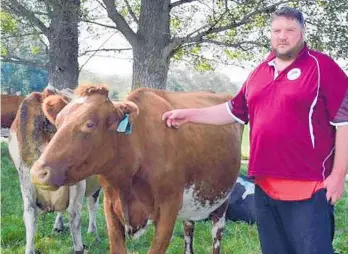  ?? Photo / File ?? New Zealand Milking Shorthorn Associatio­n vice-president Logan Kelly pats a shorthorn cow on his Otago farm.