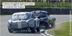  ?? ?? Cobras struggled against E-types in Graham Hill Trophy