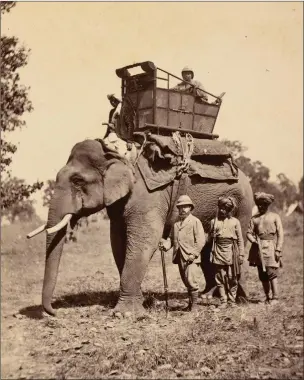  ?? PHOTOGRAPH: ROYAL COLLECTION TRUST ?? The Prince of Wales travelling by elephant on his tour of India, which stretched from 1875 into 1876