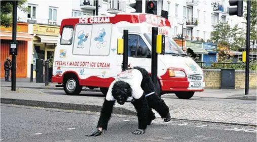  ??  ?? HAIR’S TO HIM: Tom Harrison is covering about five miles a day as he crawls the marathon course raising money for Gorilla Organisati­on