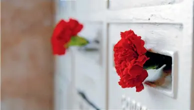  ?? GETTY IMAGES ?? While New Zealand marks Anzac Day with poppies, Portugal celebrates with carnations.