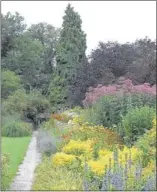  ?? DALE SKAGGS/SPECIAL TO THE COMMERCIAL APPEAL ?? Goldenrod, often considered a weed, is beautiful in the garden. It is shown here in a garden in the Netherland­s.