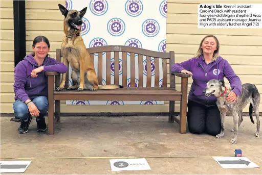  ??  ?? A dog’s life Kennel assistant Caroline Black with resident four-year-old Belgian shepherd Arco, and PADS assistant manager Joanna High with elderly lurcher Angel (12)
